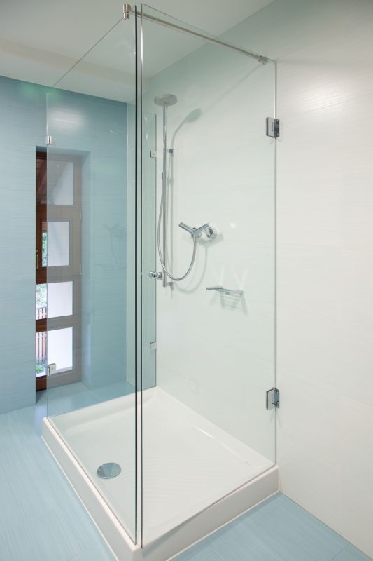 Contemporary Shower with Frameless Door